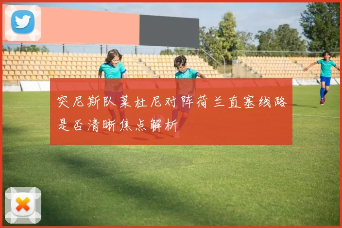 突尼斯队莱杜尼对阵荷兰直塞线路是否清晰焦点解析